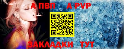 твердый Кингисепп