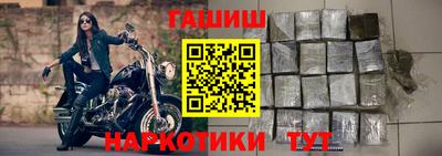 твердый Кингисепп
